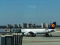 Lufthansa может возобновить полеты в Израиль в ограниченном режиме с 19 мая