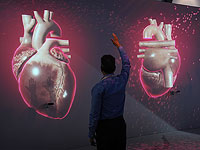 Ученые сняли на 3D-пленку формирование сердца