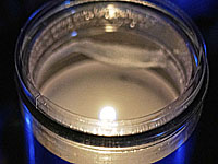 Умер чемпион СССР по боксу