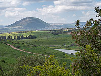 Правительство продвигает строительство двух новых поселков в Галилее