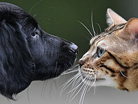 Объявлен первый лауреат премии 