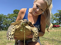 Черепаха вернулась домой после того, как пропала во время торнадо