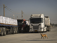 Палестинские СМИ: в Хан-Юнисе разграблены несколько грузовиков с гумпомощью
