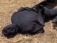 Наемных убийц на угнанной машине-