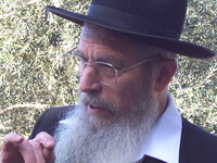 Раввин Исраэль Ариэль выступил против запрета посещать Храмовую гору