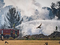 На западе Иерусалима тушат лесной пожар