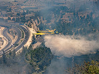 Разрастается пожар в Иерусалиме, пожарные не подпускают огонь к 