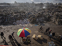 МИД Швеции вызвал посла Израиля в связи с ситуацией в Газе