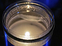 Умер легендарный советский борец, четырехкратный чемпион мира