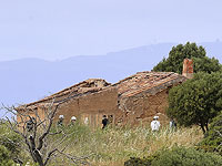 Возобновлены поиски Мадлен Маккан, пропавшей в Португалии в трехлетнем возрасте 18 лет назад