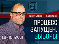 Процесс запущен - выборы. Видеокомментарий Габи Вольфсона