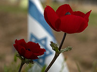 Участники фестиваля Nova, употреблявшие психоделики, показали более низкий уровень тревожности