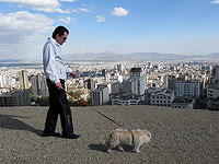 Иран расширил запрет на выгул собак в общественных местах