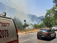 В районе Иерусалима возник лесной пожар