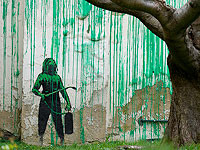 Бэнкси показал свое новое произведение