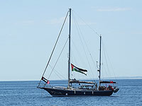 МИД Турции о задержании яхты Madleen: 