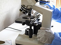 Ученые вывели штаммы грибов в качестве натурального заменителя пластика