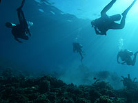 Ученые разработали нетоксичный пластик, который растворяется в морской воде за считанные часы