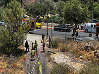 На западе Иерусалима возник лесной пожар