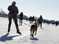 В Нидерландах требуют объявить служебных собак товаром двойного назначения, и не продавать Израилю