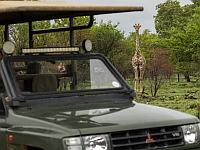 184 партнера израильской адвокатской фирмы застряли в Африке