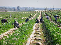 Застрявшим в Израиле иностранцам автоматически продлили срок действия виз