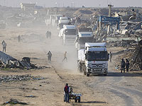 Толпа пыталась разграбить застрявший грузовик с гуманитарной помощью возле Хан-Юниса