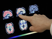 Разработан инструмент, который надежно прогнозирует когнитивные способности человека