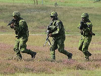 Парламент Швеции одобрил заем в 31 млрд долларов на перевооружение армии
