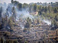 Лесной пожар в районе Бейт-Шемеша: пожарные стараются остановить огонь