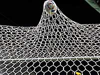 Молодежный чемпионат Европы. Французы победили датчан и вышли в полуфинал