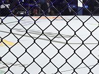 ММА: ирландец победил израильтянина и поднял палестинский флаг