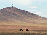 Израильские археологи 