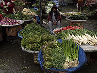 Листовая зелень может снизить риск атеросклероза