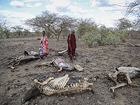 Lancet утверждает, что сокращение американской помощи приведет к гибели 14 млн человек