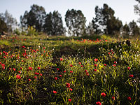 Впервые с 7 октября: населенные пункты на границе Газы – не закрытая военная зона