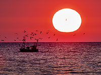 Разработан материал, который использует солнце, чтобы превратить морскую воду в питьевую