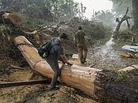 Смертоносное наводнение в Техасе: число погибших растет