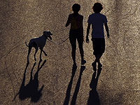 Владение собакой или кошкой может помочь сохранить когнитивные функции в пожилом возрасте