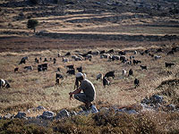 Назначен координатор по вопросам 