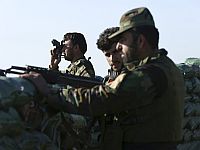 Курды: на северо-востоке Ирака сбит ударный БПЛА