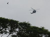 Туристка из Германии, пропавшая в Австралии почти две недели назад, найдена живой