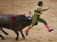 Рогом в пах: на фестивале в Памплоне состоялся предпоследний забег. Фоторепортаж