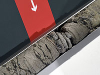 Музей, известный своими экспозициями динозавров, обнаружил окаменелость под своей парковкой