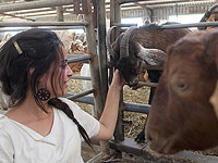 Израильское исследование: мужчины и женщины по-разному переваривают молоко