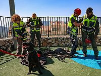 В районе горы Мирон возле Цфата прошли масштабные поиски пропавших без вести
