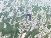 В Хабаровском крае обнаружен разбившийся вертолет