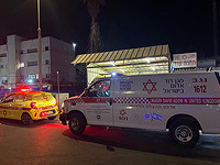 В бедуинском поселке в Негеве годовалого ребенка ужалил скорпион