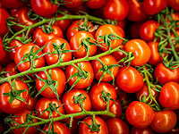 Скрытые мутации томатов, найденные израильскими учеными, меняют селекцию и генную терапию