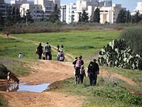 Минфин: 12% израильских домохозяйств владеют землей под жилищное строительство